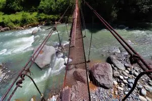 1 (20)