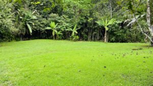 5511 – Ojochal Versatile Multi-Unit Property with Income Expansion Potential_65