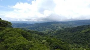 DJI_0086