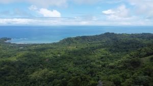 DJI_0087