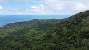 DJI_0088