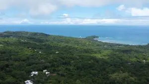 DJI_0089