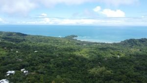 DJI_0091