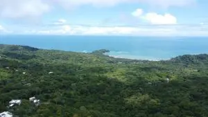 DJI_0091