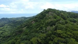 DJI_0094