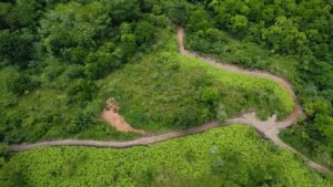 DJI_0098