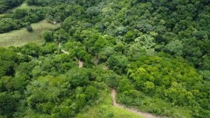 DJI_0099