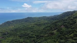 DJI_0101