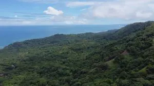 DJI_0101