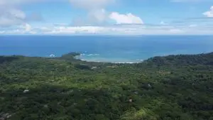 DJI_0102