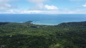 DJI_0103