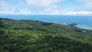 DJI_0104