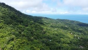 DJI_0105