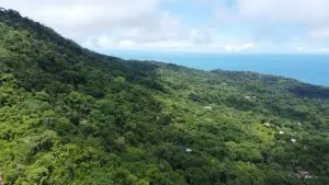 DJI_0105