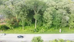 DJI_0720