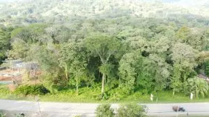 DJI_0721
