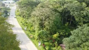 DJI_0722