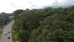 DJI_0730