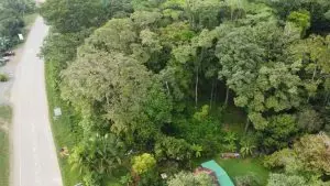 DJI_0731