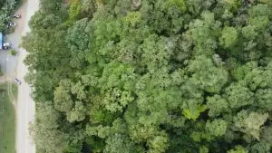 DJI_0732