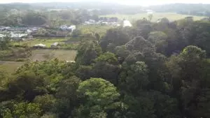 DJI_0735