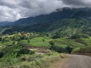 Lot 147 – From far