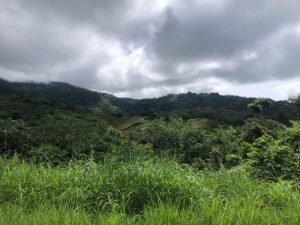 Lot 147 – Mountain view