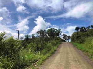 Lot 19 – Road view