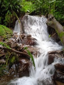 WhatsApp Image 2023-01-14 at 4.47.05 PM (1)