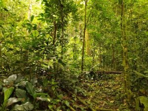 WhatsApp Image 2023-01-14 at 4.47.05 PM