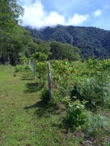 WhatsApp Image 2023-01-14 at 4.47.06 PM (1)