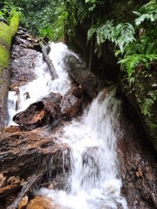 WhatsApp Image 2023-01-14 at 4.47.06 PM (2)