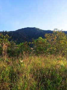 WhatsApp Image 2023-01-14 at 4.47.06 PM