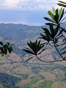 WhatsApp Image 2023-01-14 at 4.47.07 PM (1)