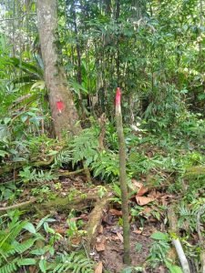 WhatsApp Image 2023-01-14 at 4.47.07 PM