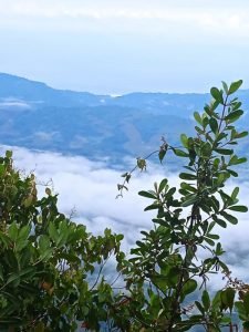 WhatsApp Image 2023-01-14 at 4.47.08 PM