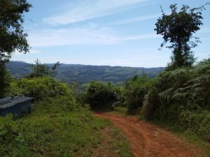 WhatsApp Image 2023-01-16 at 7.34.25 PM