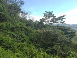 WhatsApp Image 2023-01-17 at 7.59.32 AM (1)