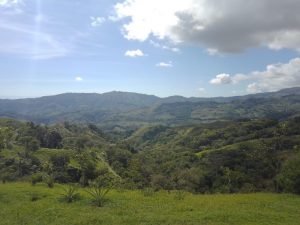 WhatsApp Image 2023-01-17 at 7.59.32 AM (2)