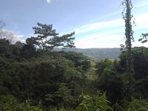 WhatsApp Image 2023-01-17 at 7.59.32 AM