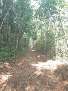 WhatsApp Image 2023-01-17 at 7.59.33 AM (1)