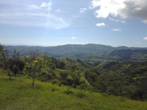 WhatsApp Image 2023-01-17 at 7.59.33 AM