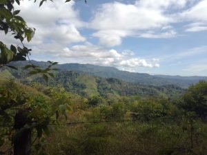 WhatsApp Image 2023-01-17 at 7.59.34 AM (1)