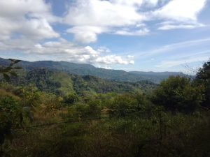 WhatsApp Image 2023-01-17 at 7.59.34 AM