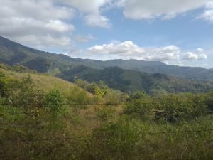 WhatsApp Image 2023-01-17 at 7.59.35 AM