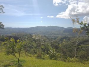 WhatsApp Image 2023-01-17 at 7.59.36 AM