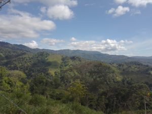 WhatsApp Image 2023-01-17 at 7.59.37 AM