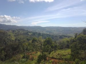 WhatsApp Image 2023-01-17 at 7.59.38 AM (1)