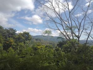 WhatsApp Image 2023-01-17 at 7.59.38 AM (2)