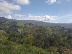 WhatsApp Image 2023-01-17 at 7.59.38 AM